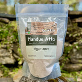 Mandua (Finger Millet)